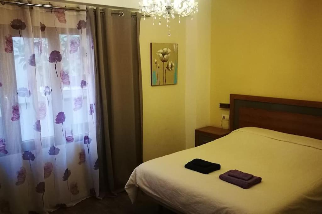 Apartament Center Where Falla Starts